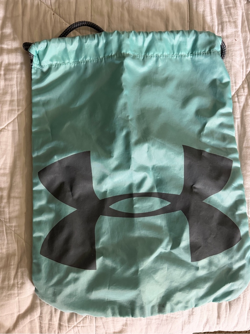 Under Armour Teal & Gray Gym Bag